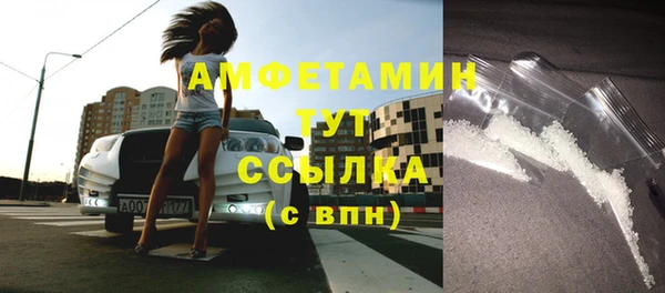 амф Вяземский