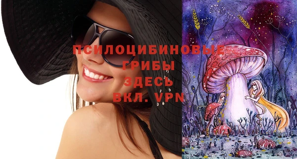 амф Вяземский
