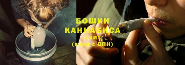 амф Вяземский