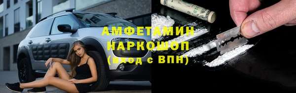 амф Вяземский