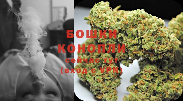 амф Вяземский