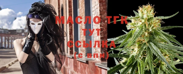 амф Вяземский