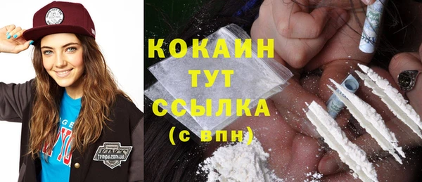 амф Вяземский