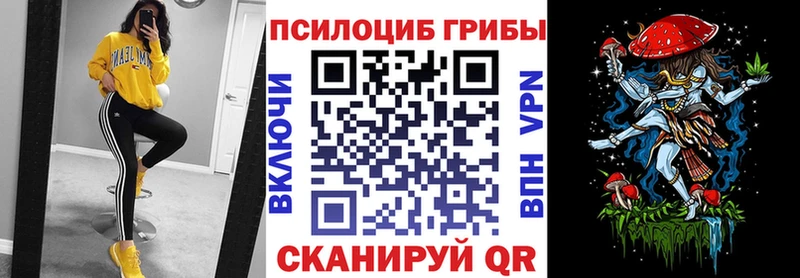 MEGA ссылка  как найти   Зеленодольск  Псилоцибиновые грибы Cubensis 